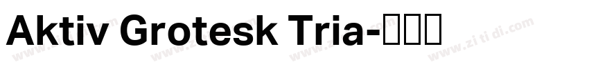 Aktiv Grotesk Tria字体转换
